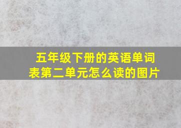 五年级下册的英语单词表第二单元怎么读的图片