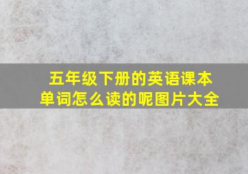 五年级下册的英语课本单词怎么读的呢图片大全