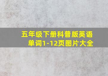 五年级下册科普版英语单词1-12页图片大全