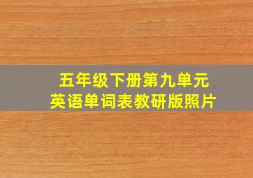 五年级下册第九单元英语单词表教研版照片