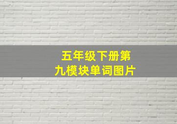 五年级下册第九模块单词图片