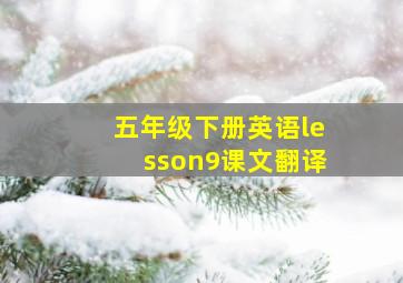 五年级下册英语lesson9课文翻译