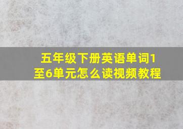 五年级下册英语单词1至6单元怎么读视频教程