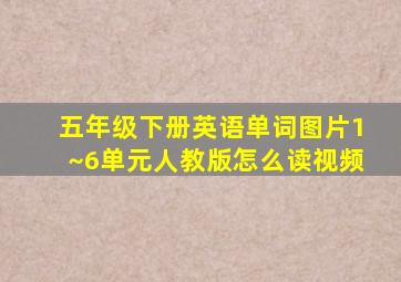 五年级下册英语单词图片1~6单元人教版怎么读视频