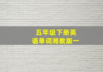 五年级下册英语单词湘教版一