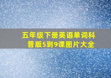 五年级下册英语单词科普版5到9课图片大全