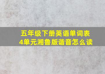 五年级下册英语单词表4单元湘鲁版谐音怎么读