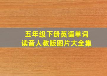 五年级下册英语单词读音人教版图片大全集