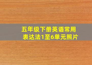 五年级下册英语常用表达法1至6单元照片