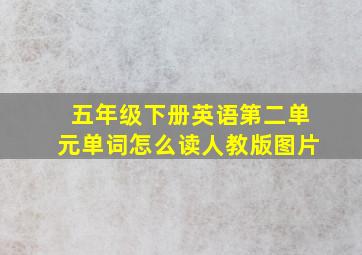 五年级下册英语第二单元单词怎么读人教版图片