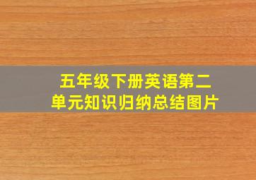 五年级下册英语第二单元知识归纳总结图片