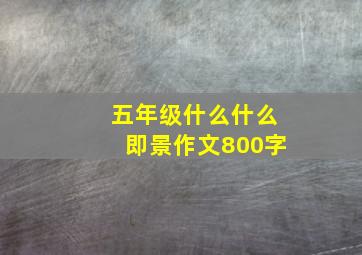 五年级什么什么即景作文800字