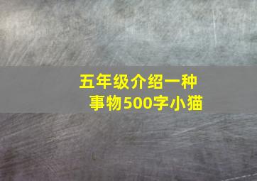 五年级介绍一种事物500字小猫