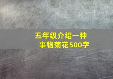 五年级介绍一种事物菊花500字