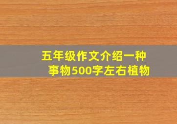 五年级作文介绍一种事物500字左右植物