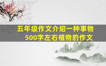 五年级作文介绍一种事物500字左右植物的作文