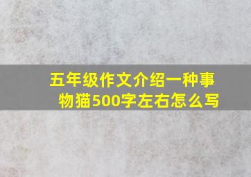 五年级作文介绍一种事物猫500字左右怎么写