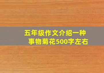 五年级作文介绍一种事物菊花500字左右