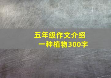 五年级作文介绍一种植物300字