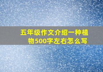 五年级作文介绍一种植物500字左右怎么写