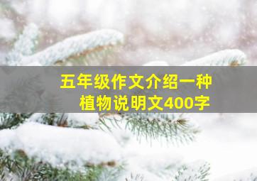 五年级作文介绍一种植物说明文400字