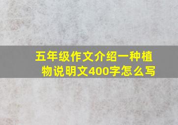 五年级作文介绍一种植物说明文400字怎么写