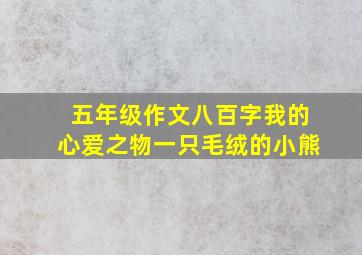 五年级作文八百字我的心爱之物一只毛绒的小熊