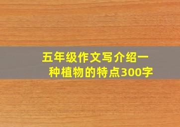 五年级作文写介绍一种植物的特点300字