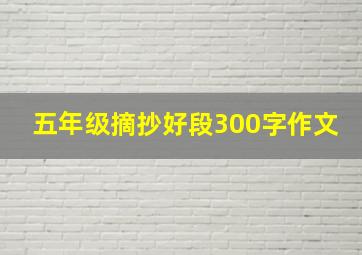 五年级摘抄好段300字作文