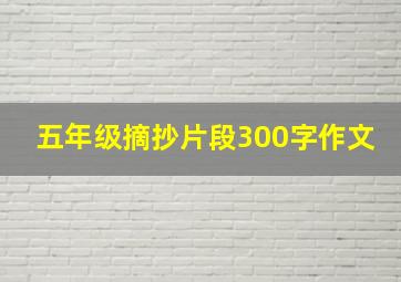 五年级摘抄片段300字作文