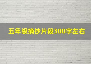 五年级摘抄片段300字左右