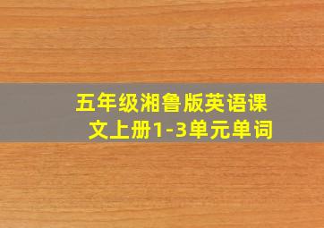 五年级湘鲁版英语课文上册1-3单元单词