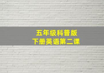 五年级科普版下册英语第二课