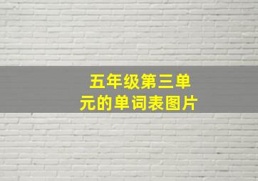 五年级第三单元的单词表图片