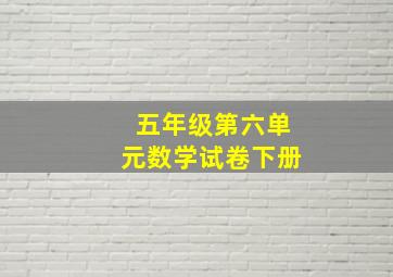 五年级第六单元数学试卷下册