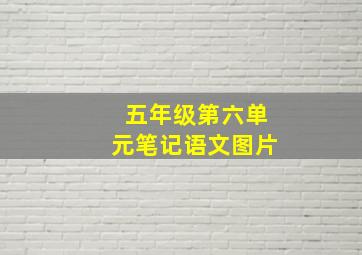 五年级第六单元笔记语文图片