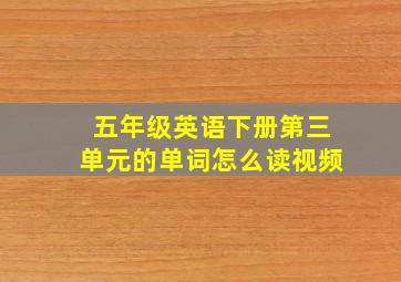 五年级英语下册第三单元的单词怎么读视频