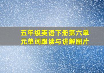 五年级英语下册第六单元单词跟读与讲解图片