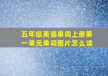 五年级英语单词上册第一单元单词图片怎么读