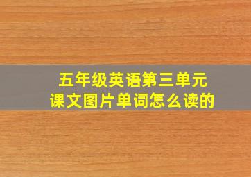 五年级英语第三单元课文图片单词怎么读的