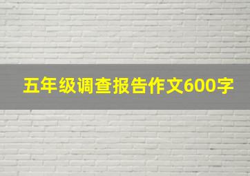 五年级调查报告作文600字