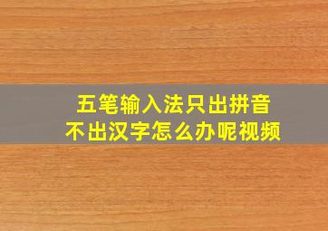 五笔输入法只出拼音不出汉字怎么办呢视频