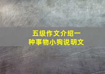 五级作文介绍一种事物小狗说明文