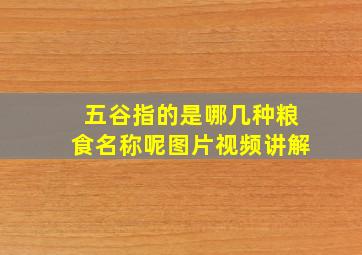 五谷指的是哪几种粮食名称呢图片视频讲解