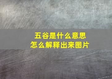 五谷是什么意思怎么解释出来图片