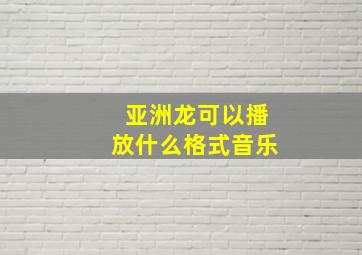 亚洲龙可以播放什么格式音乐