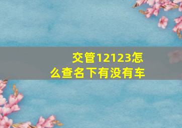 交管12123怎么查名下有没有车