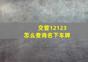 交管12123怎么查询名下车牌