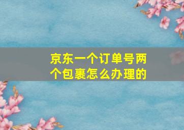 京东一个订单号两个包裹怎么办理的