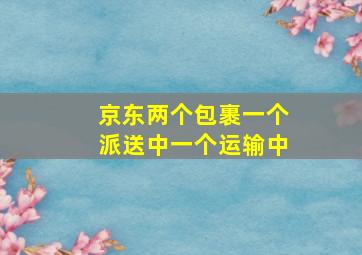 京东两个包裹一个派送中一个运输中